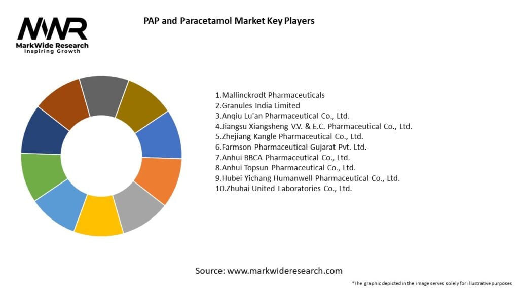 PAP and Paracetamol Market Key Players