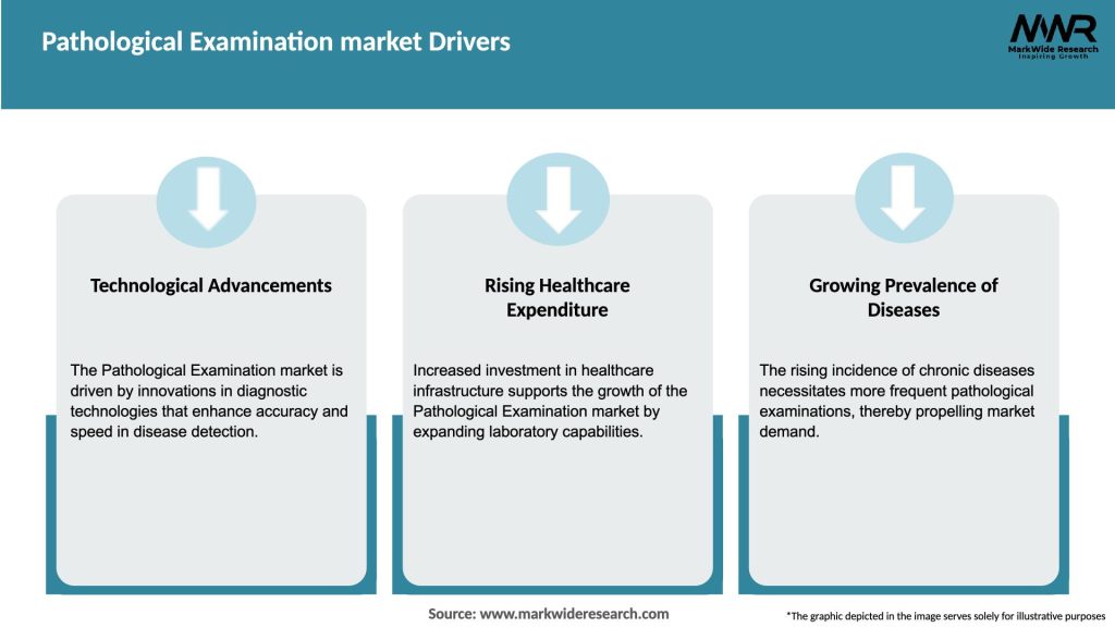 Pathological Examination market Drivers