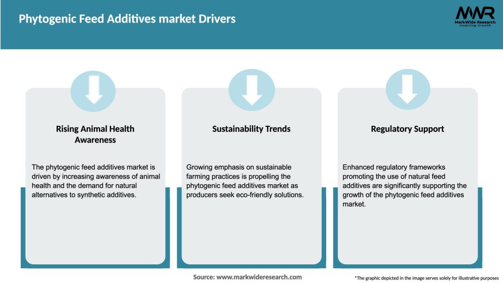 Phytogenic Feed Additives market Drivers