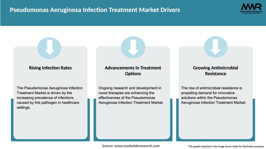 Pseudomonas Aeruginosa Infection Treatment Market Drivers