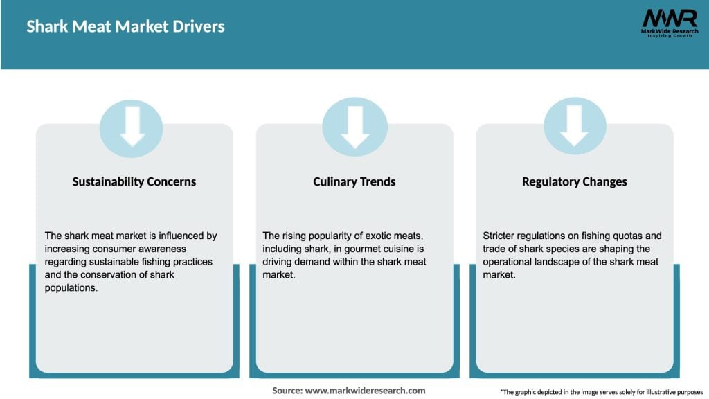 Shark Meat Market Drivers