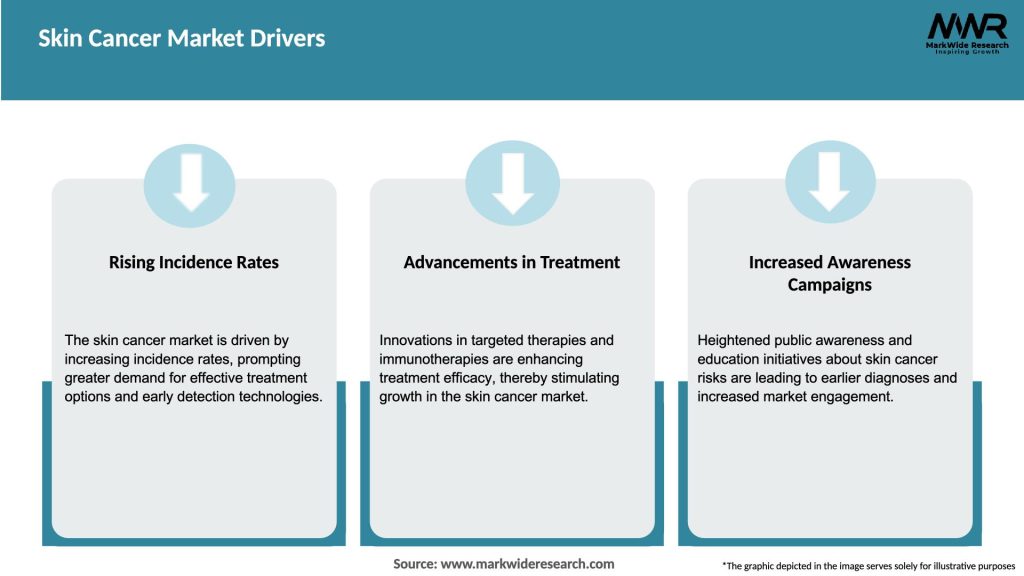 Skin Cancer Market Drivers