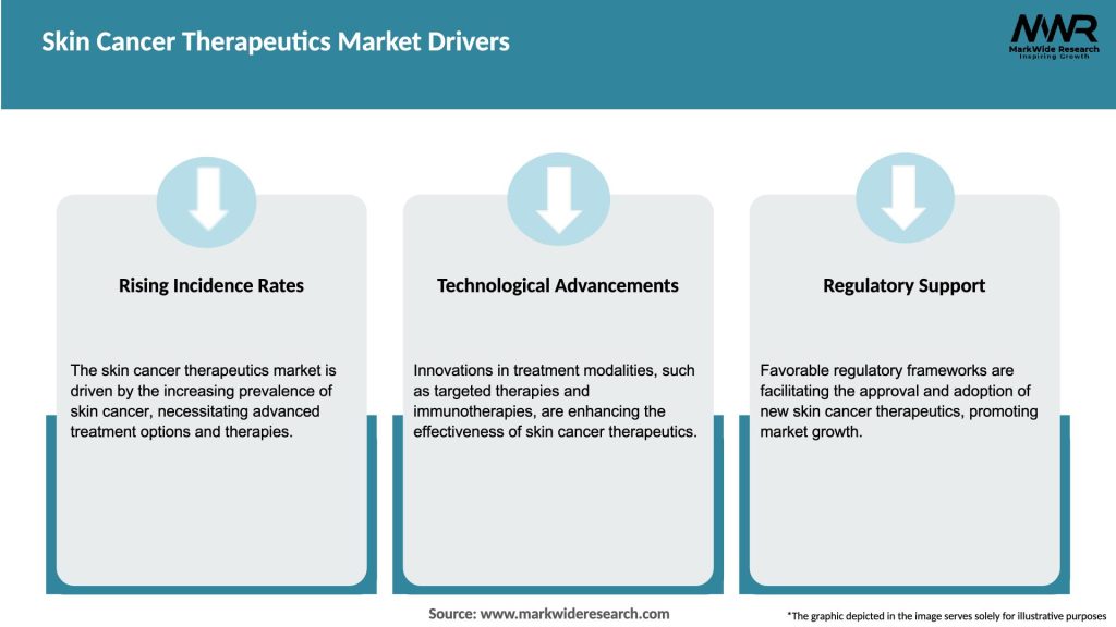 Skin Cancer Therapeutics Market Drivers