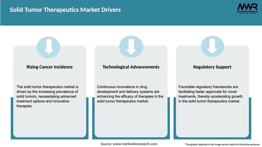 Solid Tumor Therapeutics Market Drivers