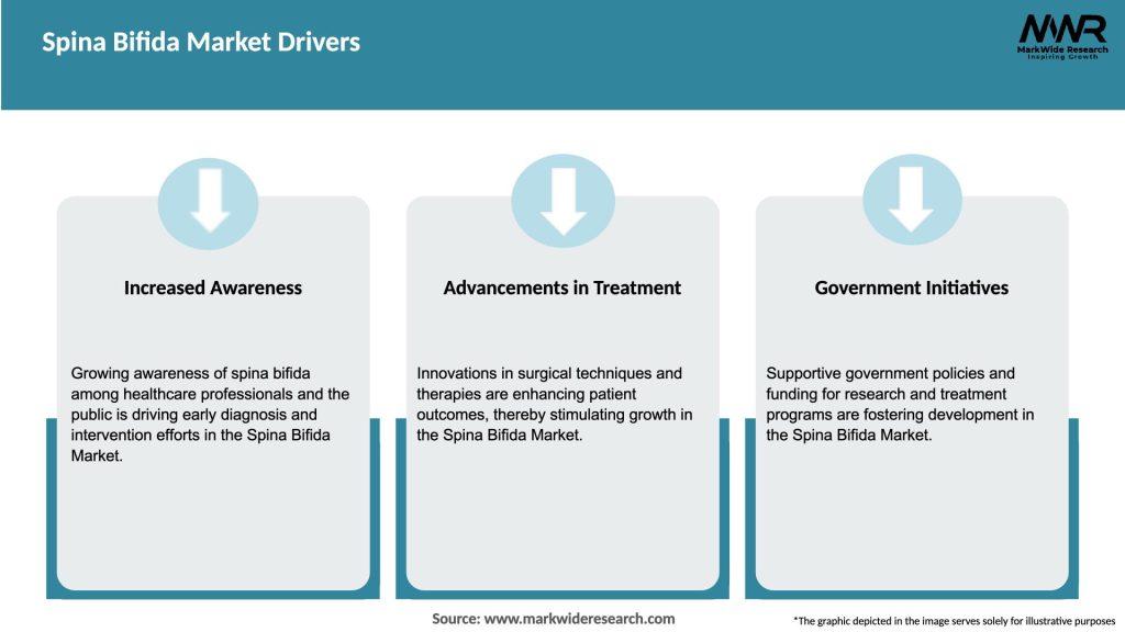 Spina Bifida Market Drivers