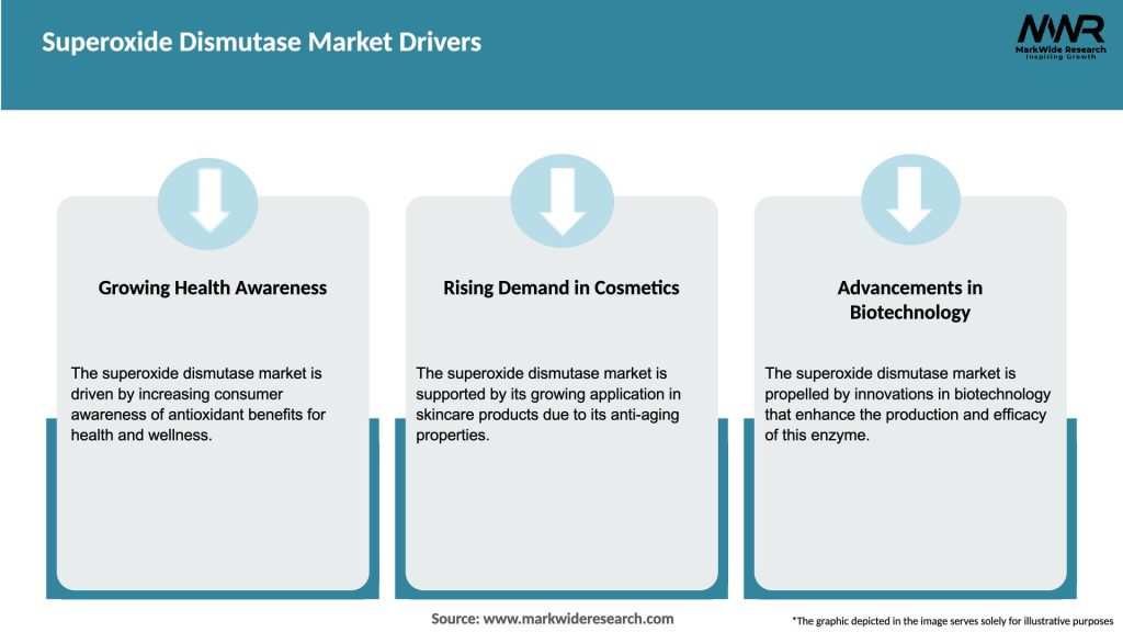 Superoxide Dismutase Market Drivers
