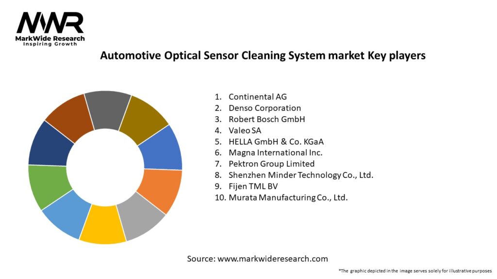 Automotive Optical Sensor Cleaning System market Key Players