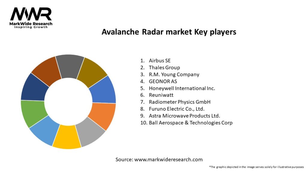 Avalanche Radar market
