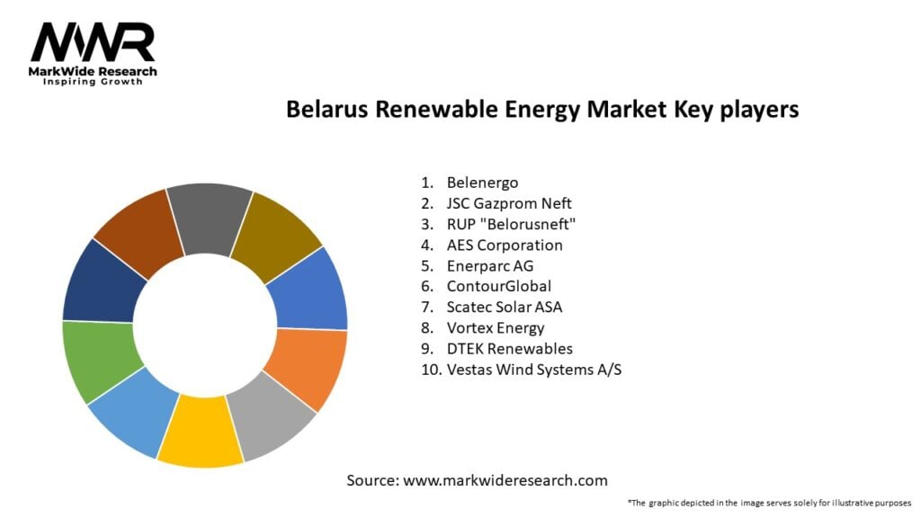 Belarus Renewable Energy Market Key Players