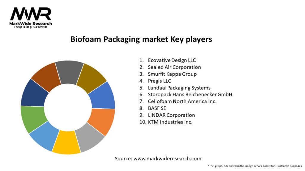 Biofoam Packaging market Key Players