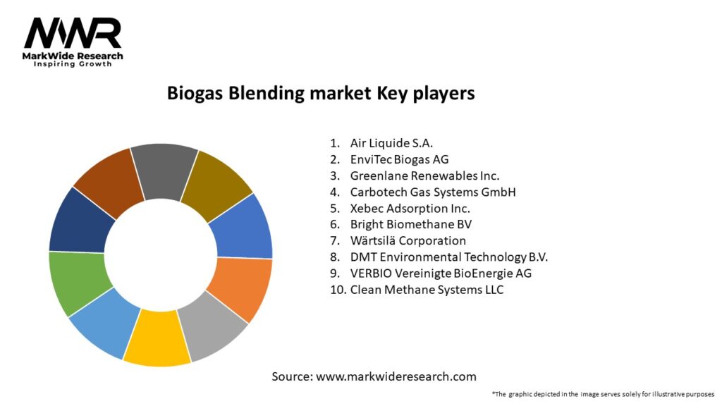 Biogas Blending market