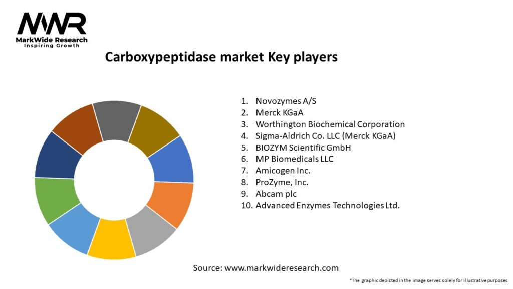Carboxypeptidase market Key Players
