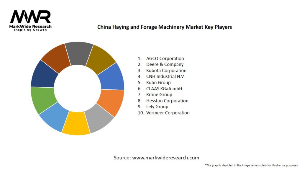 China Haying and Forage Machinery Market Key Players