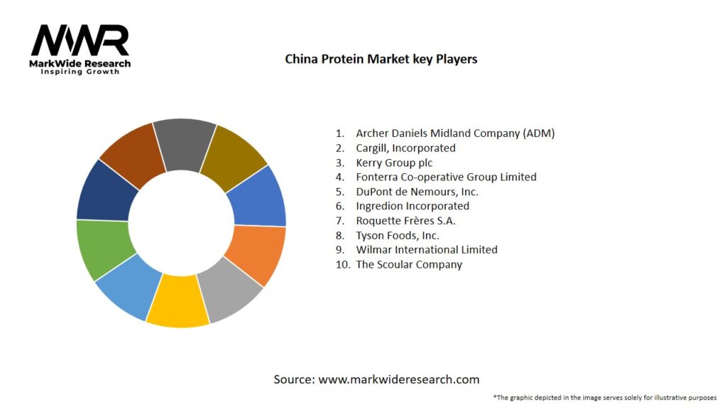 China Protein Market