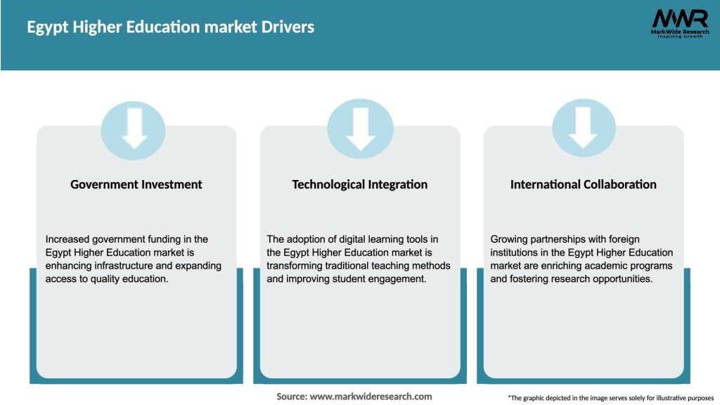 Egypt Higher Education market Drivers