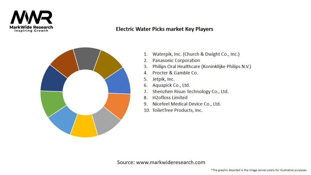 Electric Water Picks market