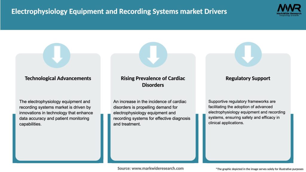 Electrophysiology Equipment and Recording Systems market Drivers