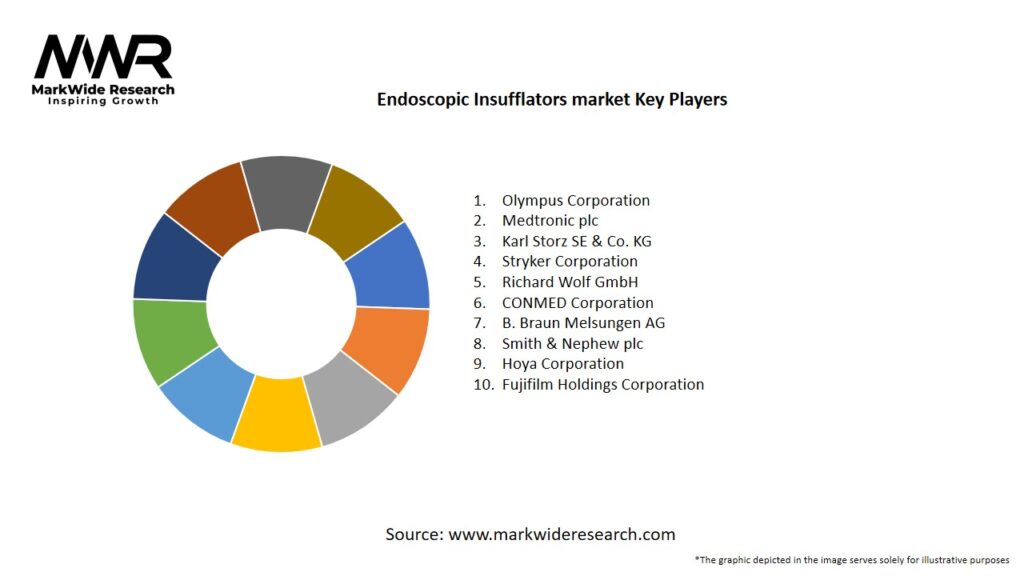 Endoscopic Insufflators market Key Players