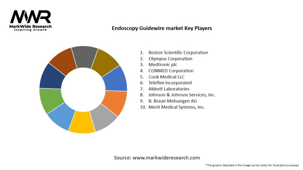 Endoscopy Guidewire market Key Players