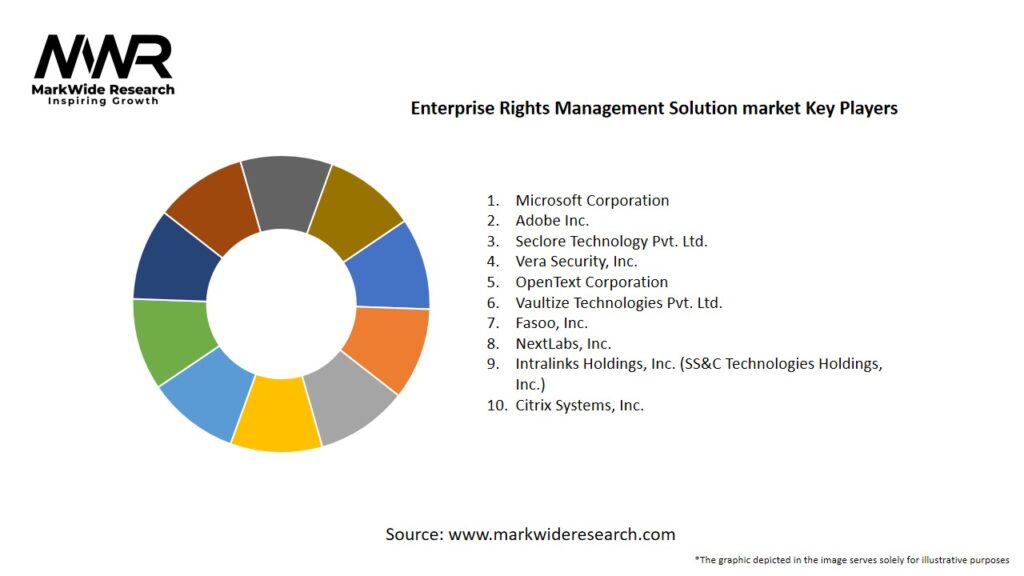 Enterprise Rights Management Solution market