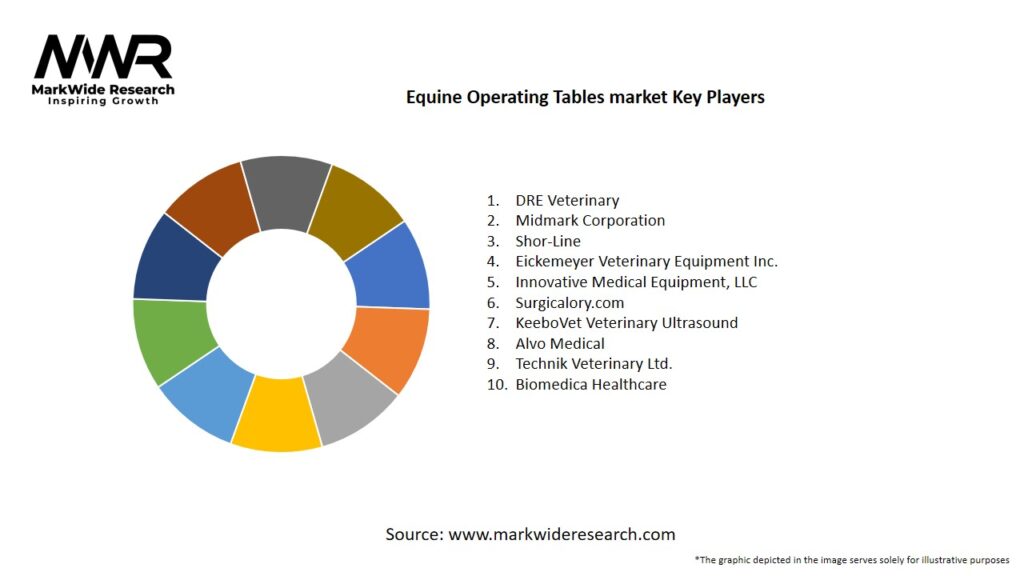 Equine Operating Tables market Key Players