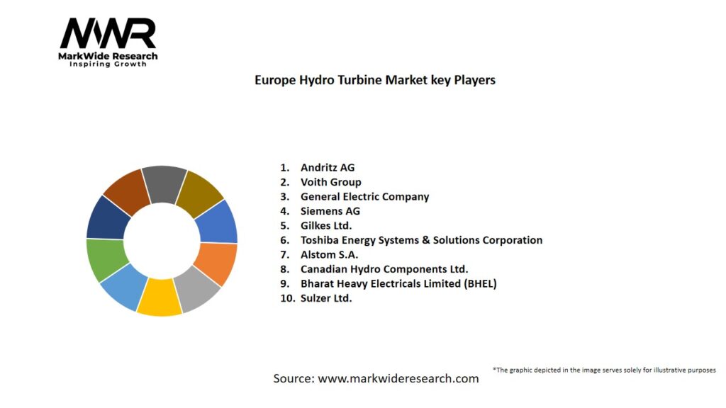 Europe Hydro Turbine Market Key Players