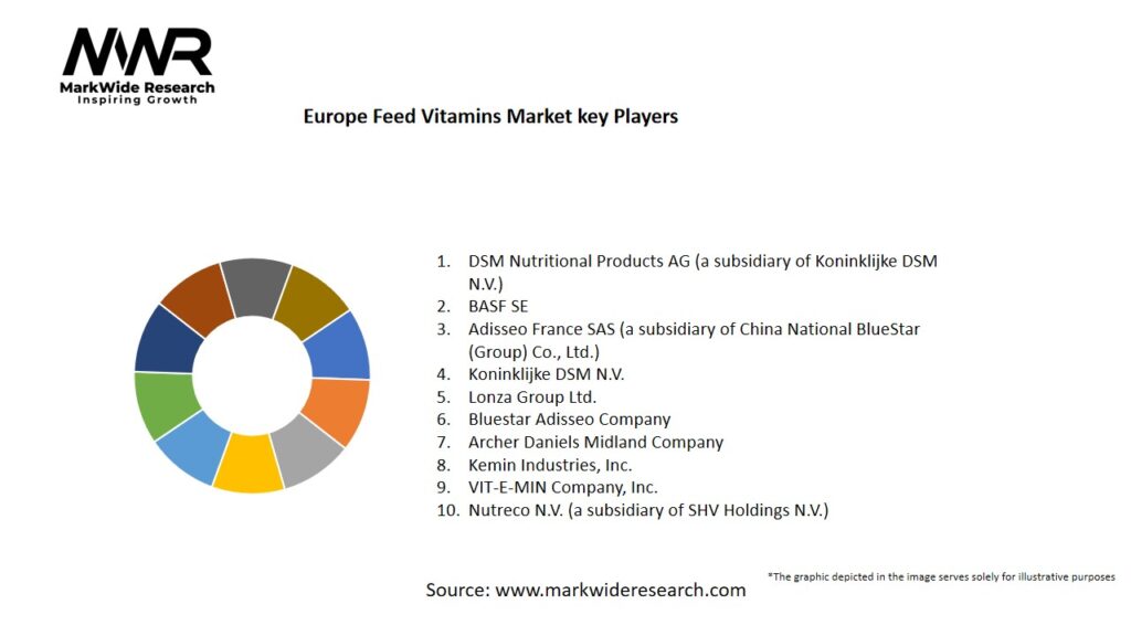 Europe Feed Vitamins market Key Players