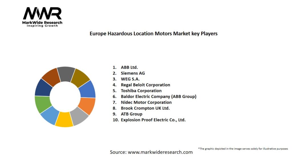 Europe Hazardous Location Motors Market Key Players