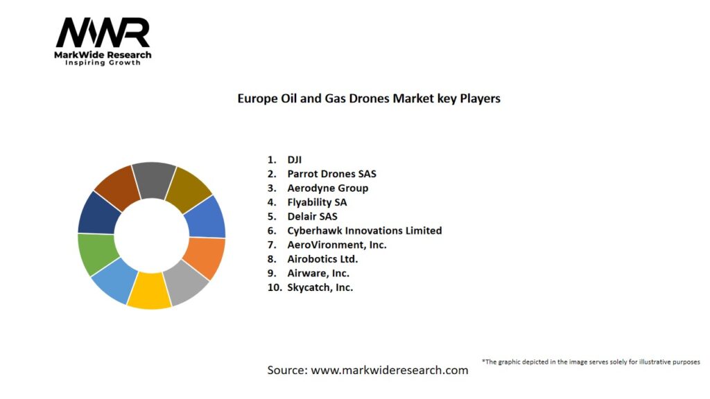 Europe Oil and Gas Drones Market Key Players