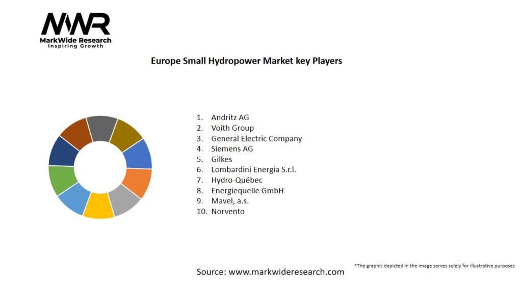 Europe Small Hydropower Market Key Players