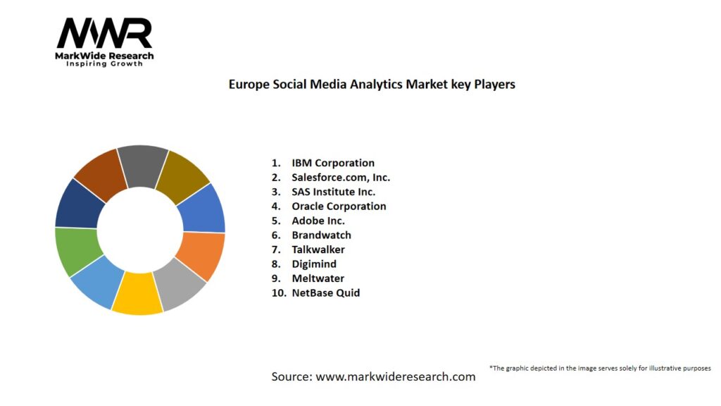 Europe Social Media Analytics Market Key Players