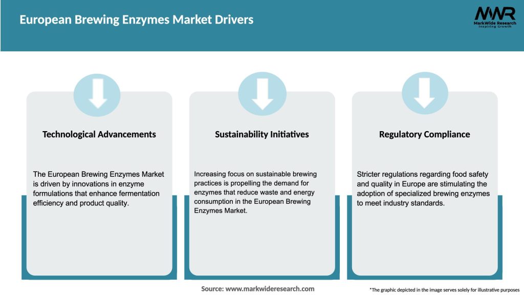 European Brewing Enzymes Market Drivers