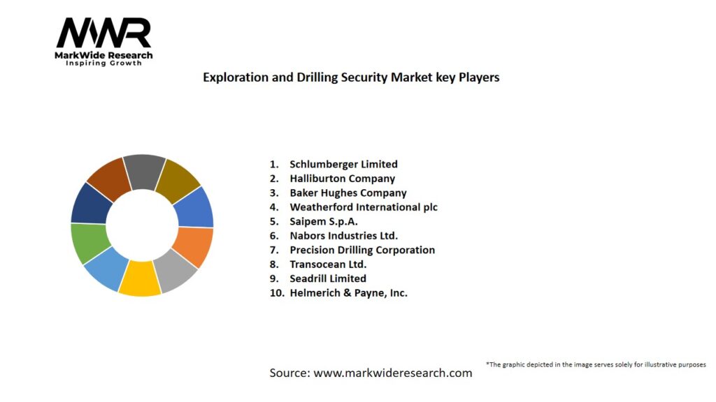 Exploration and Drilling Security Market
