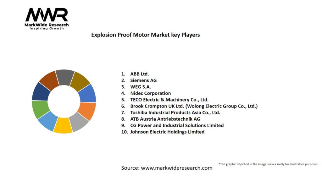 Explosion Proof Motor market Key Players