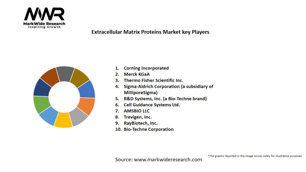 Extracellular Matrix Proteins market Key Players