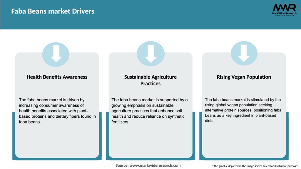 Faba Beans market Drivers