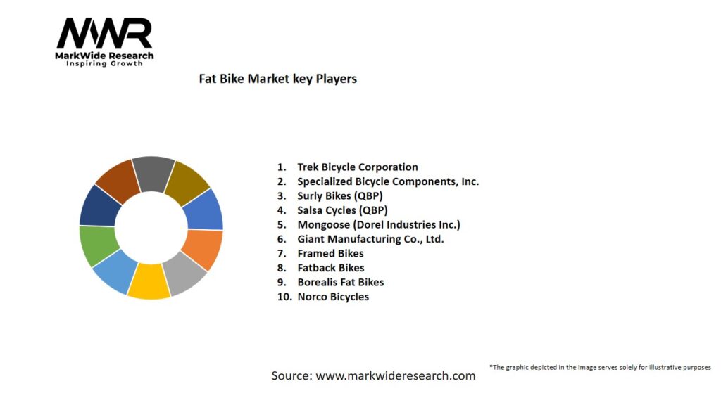 Fat Bike market Key Players