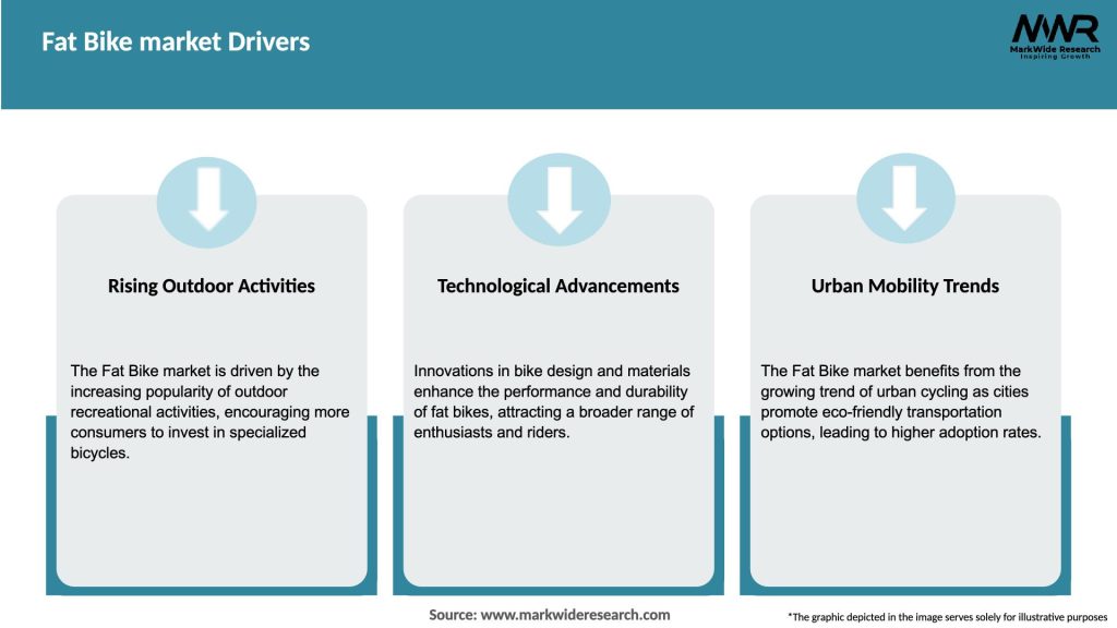 Fat Bike market Drivers