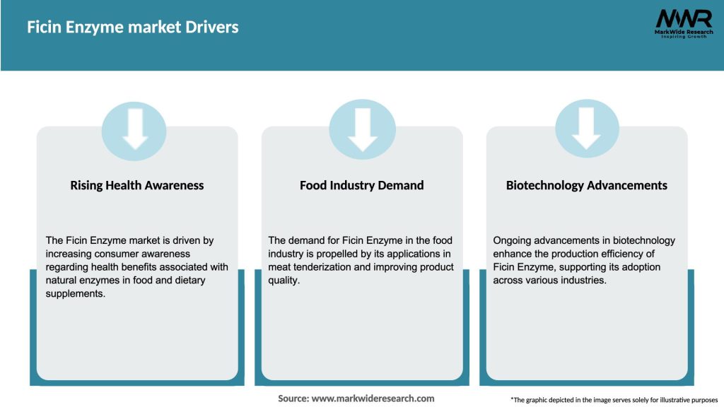 Ficin Enzyme market Drivers