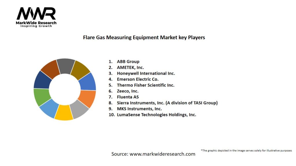Flare Gas Measuring Equipment market Key Players