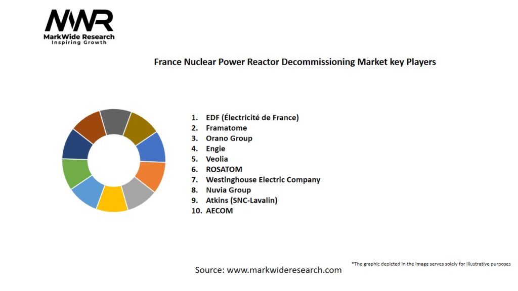 France Nuclear Power Reactor Decommissioning Market Key Players