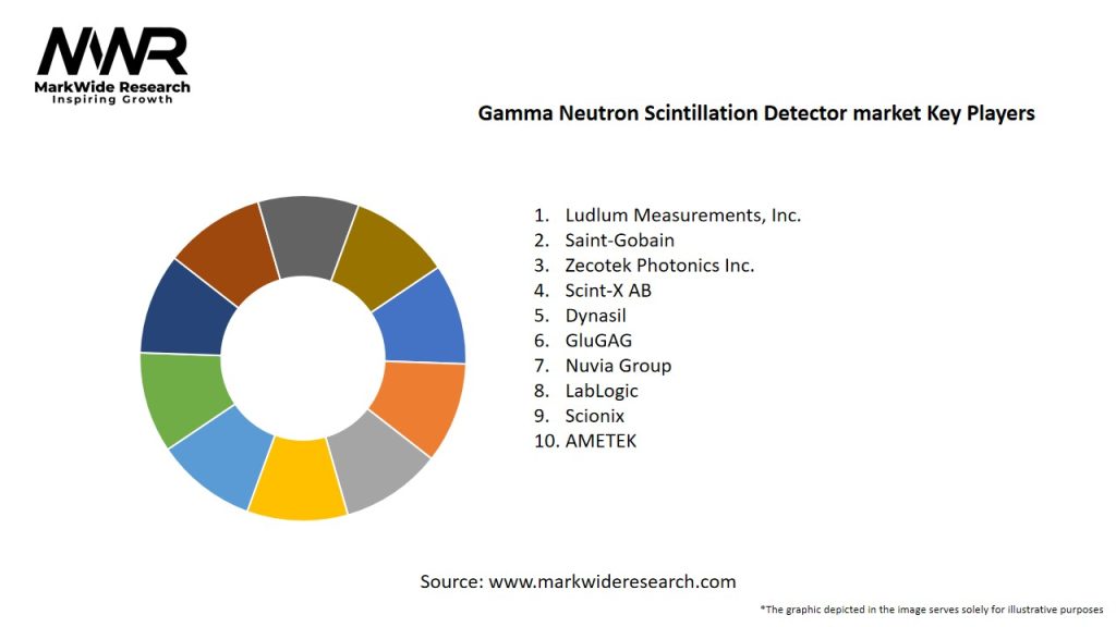 Gamma Neutron Scintillation Detector market Key Players