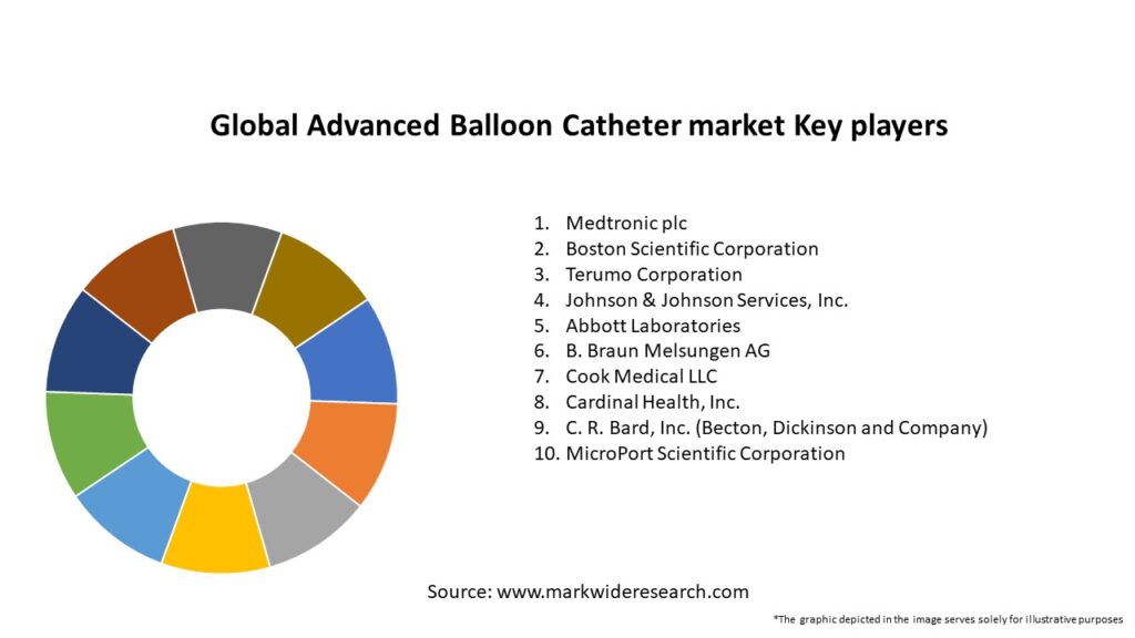 Global Advanced Balloon Catheter market
