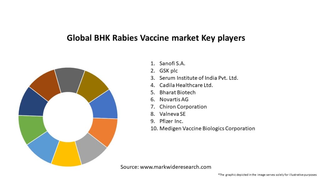 Global BHK Rabies Vaccine market Key Players