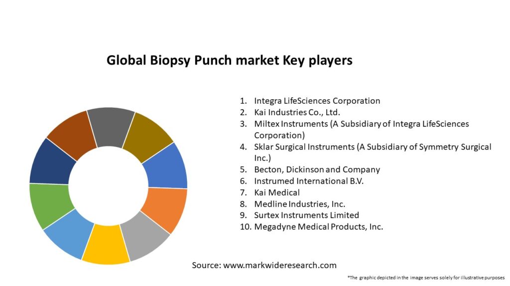 Global Biopsy Punch market Key Players