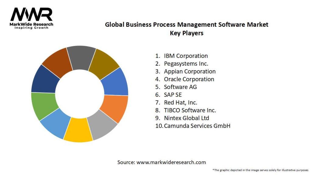 Global Business Process Management Software Market Key Players