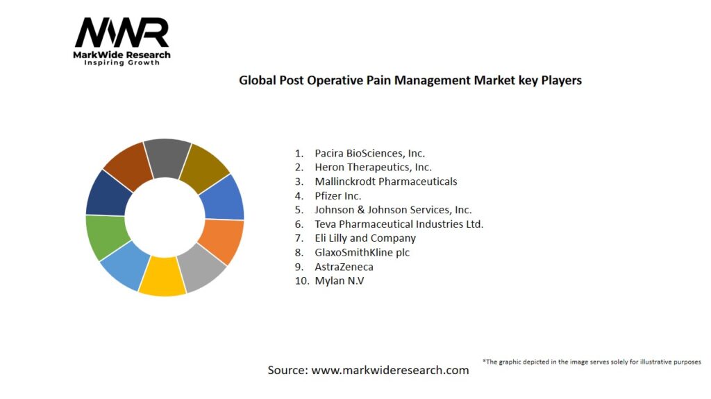 Global Post Operative Pain Management Market Key Players