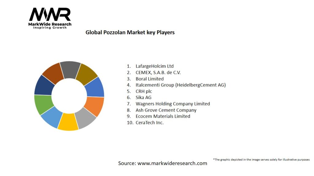 Global Pozzolan Market