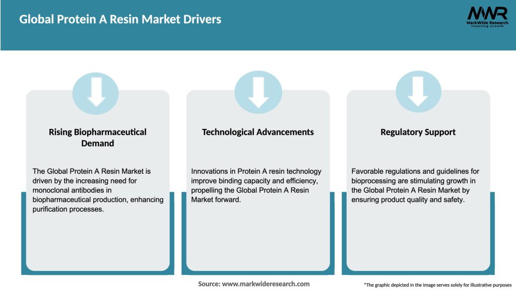 Global Protein A Resin Market Drivers