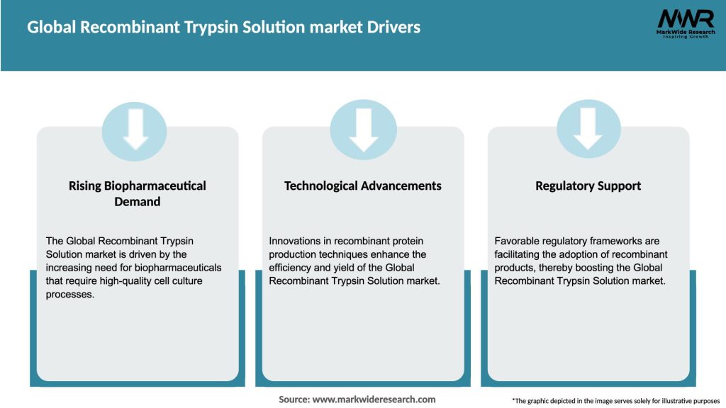 Global Recombinant Trypsin Solution market Drivers